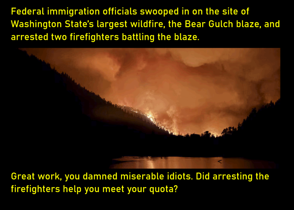 A photo: a lake at night, a forest fire on the other side sends up massive plumes of smoke.

Federal immigration officials swooped in on the site of Washington State’s largest wildfire, the Bear Gulch blaze, and arrested two firefighters battling the blaze. 
Great work, you damned miserable idiots. Did arresting the firefighters help you meet your quota?
