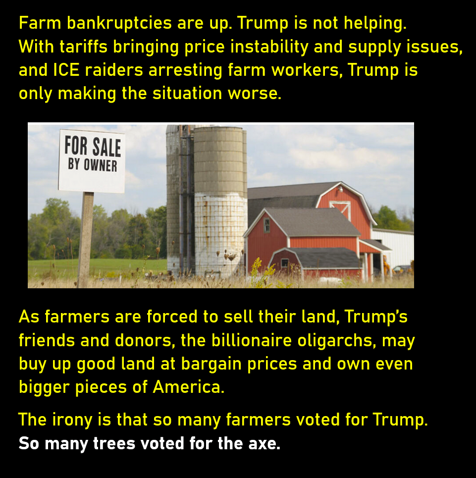 A photo of farm buildings and a silo. In front is a sign: "For Sale by Owner." Farm bankruptcies are up. Trump is not helping. With tariffs bringing price instability and supply issues, and ICE raiders arresting farm workers, Trump is only making the situation worse. As farmers are forced to sell their land, Trump’s friends and donors, the billionaire oligarchs, may buy up good land at bargain prices and own even bigger pieces of America. The irony is that so many farmers voted for Trump. So many trees voted for the axe.
